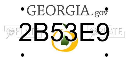 2B53E9 Georgia License Plate