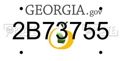 2B73755 Georgia License Plate