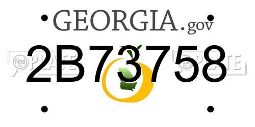 2B73758 Georgia License Plate