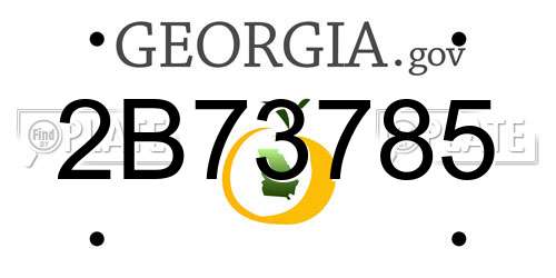 2B73785 Georgia License Plate