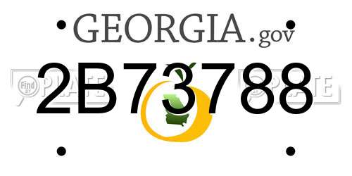 2B73788 Georgia License Plate