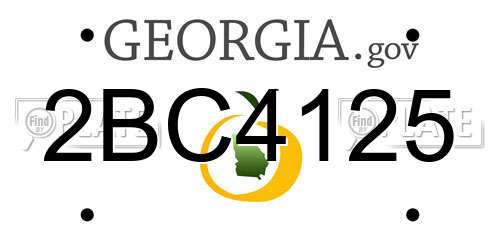 2BC4125 Georgia License Plate