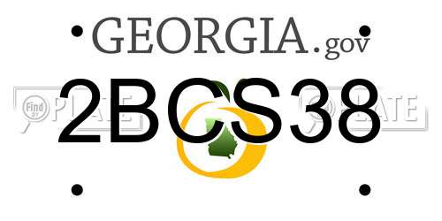 2BCS38 Georgia License Plate