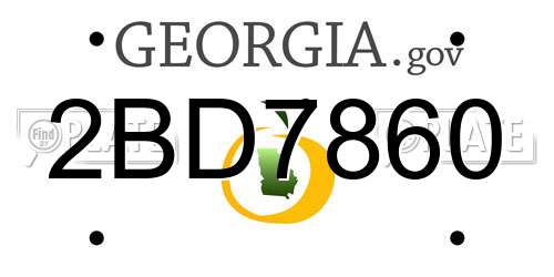 2BD7860 Georgia License Plate