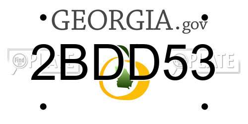 2BDD53 Georgia License Plate