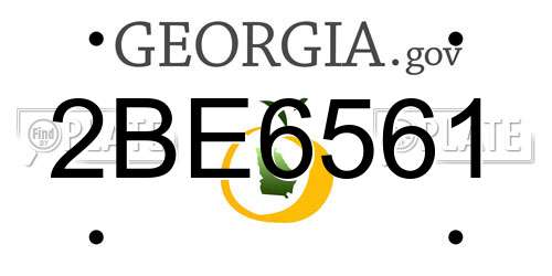 2BE6561 Georgia License Plate