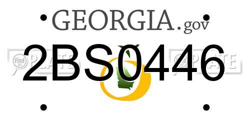 2BS0446 Georgia License Plate