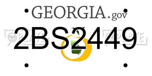 2BS2449 Georgia License Plate