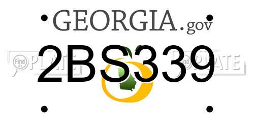 2BS339 Georgia License Plate