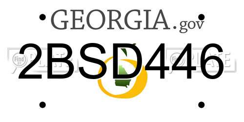 2BSD446 Georgia License Plate