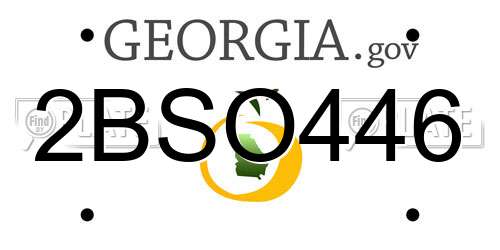 2BSO446 Georgia License Plate