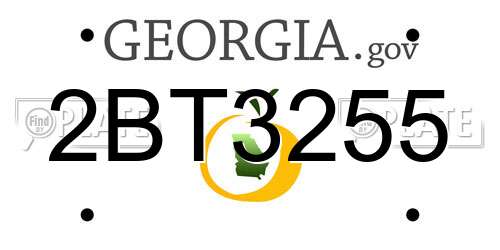 2BT3255 Georgia License Plate
