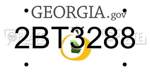 2BT3288 Georgia License Plate