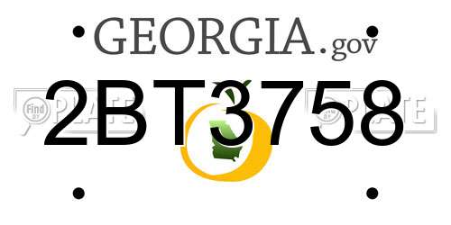 2BT3758 Georgia License Plate