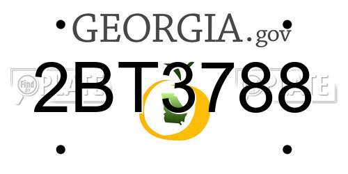 2BT3788 Georgia License Plate