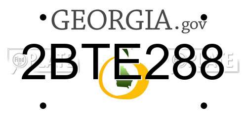 2BTE288 Georgia License Plate