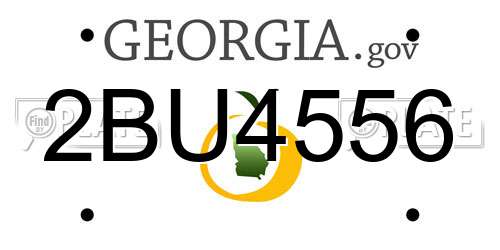 2BU4556 Georgia License Plate