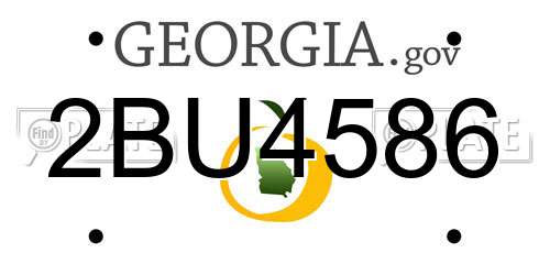 2BU4586 Georgia License Plate