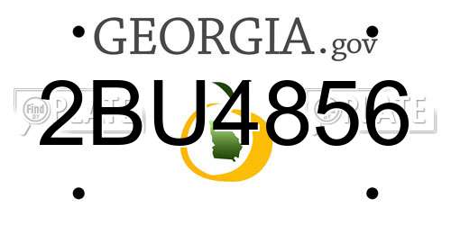 2BU4856 Georgia License Plate