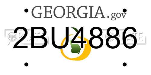 2BU4886 Georgia License Plate