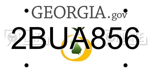 2BUA856 Georgia License Plate