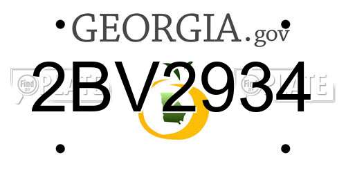 2BV2934 Georgia License Plate