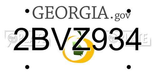 2BVZ934 Georgia License Plate
