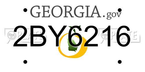 2BY6216 Georgia License Plate