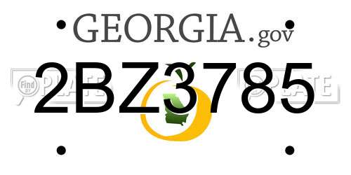 2BZ3785 Georgia License Plate