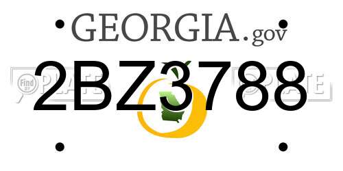 2BZ3788 Georgia License Plate