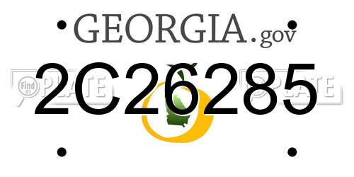 2C26285 Georgia License Plate
