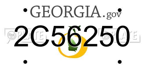 2C56250 Georgia License Plate