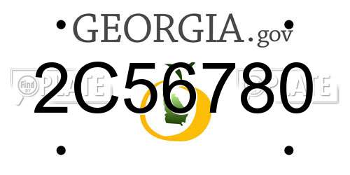2C56780 Georgia License Plate