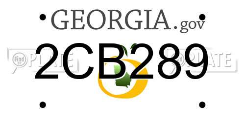 2CB289 Georgia License Plate