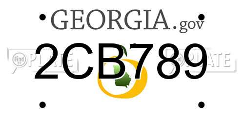 2CB789 Georgia License Plate