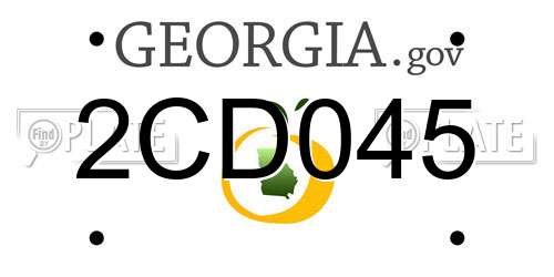 2CD045 Georgia License Plate