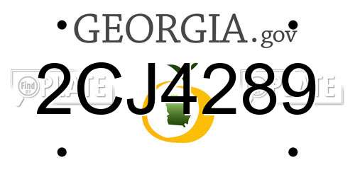 2CJ4289 Georgia License Plate
