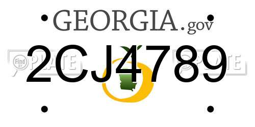 2CJ4789 Georgia License Plate