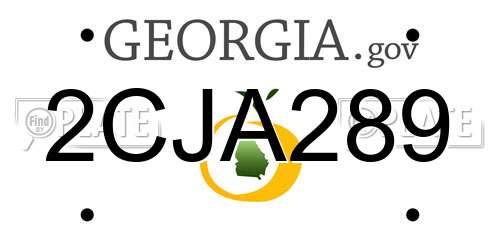 2CJA289 Georgia License Plate