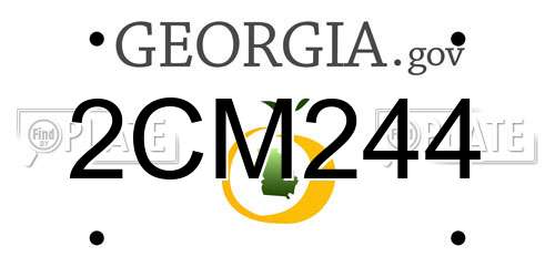 2CM244 Georgia License Plate