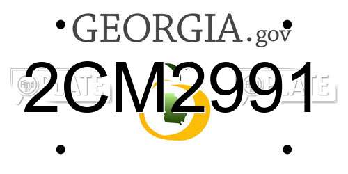 2CM2991 Georgia License Plate
