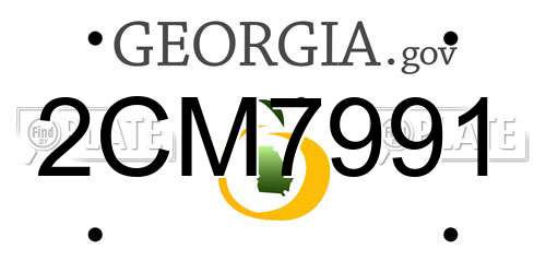 2CM7991 Georgia License Plate