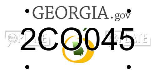 2CO045 Georgia License Plate