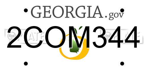 2COM344 Georgia License Plate
