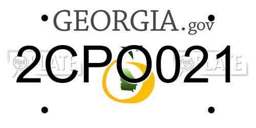 2CPO021 Georgia License Plate