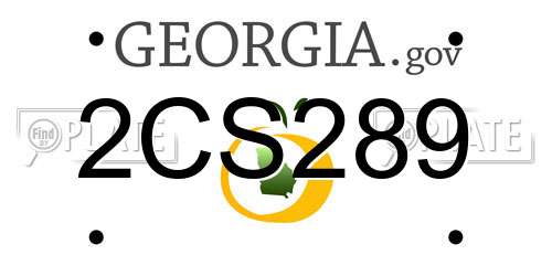 2CS289 Georgia License Plate