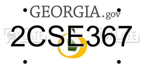 2CSE367 Georgia License Plate