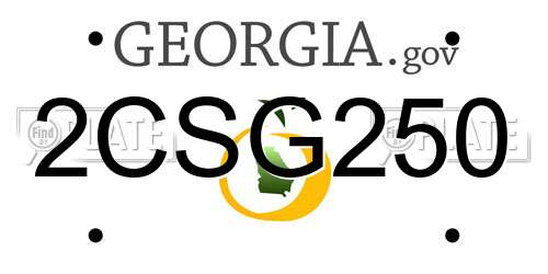 2CSG250 Georgia License Plate