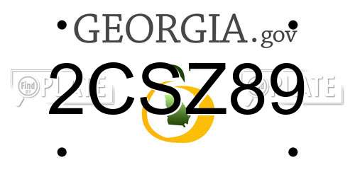 2CSZ89 Georgia License Plate
