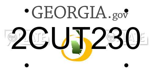 2CUT230 Georgia License Plate